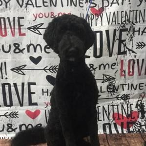 Meet your Posher, Marcia